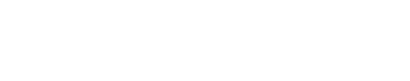 Vertica Flight Logo White